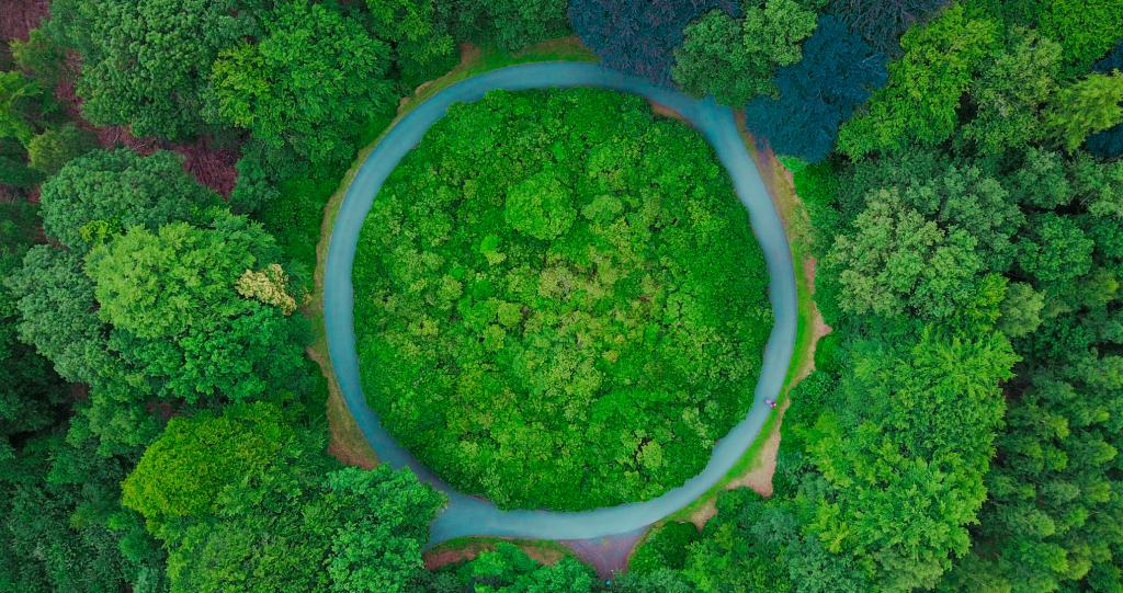 EcoScent Compass™