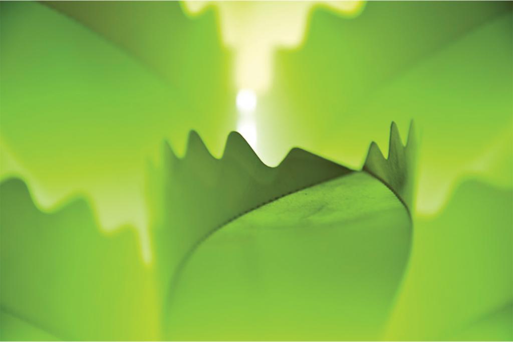 Leaf