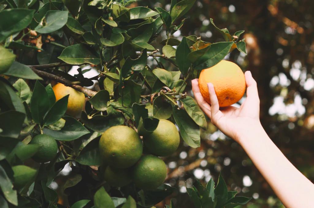 Responsible sourcing