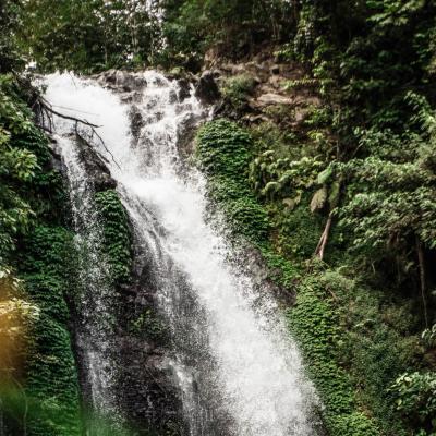 EcoIngredient Compass