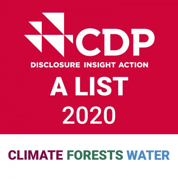 CDP Triple A 2020