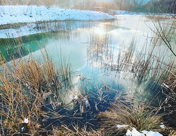 Firmenich Commits to be Carbon Neutral by 2025