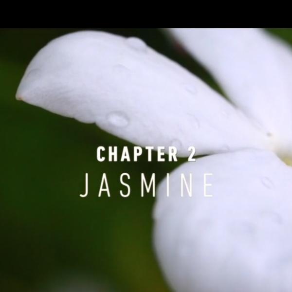 NaturalsTogether™ Chapter 2: Jasmine
