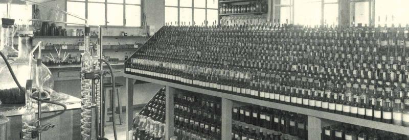 1931