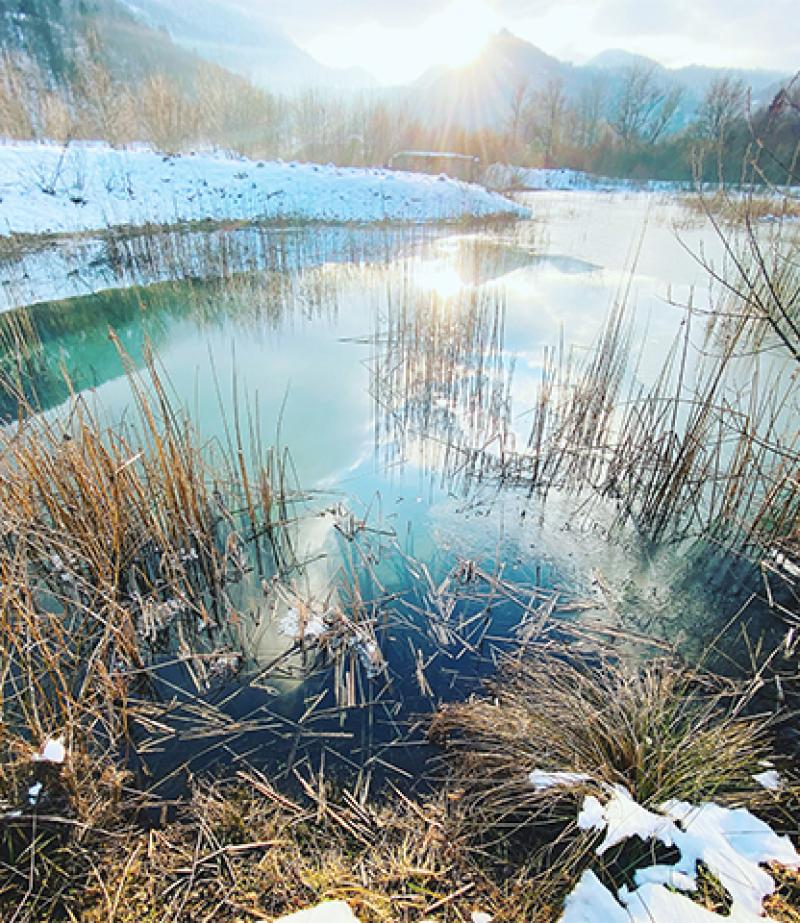 Firmenich Commits to be Carbon Neutral by 2025