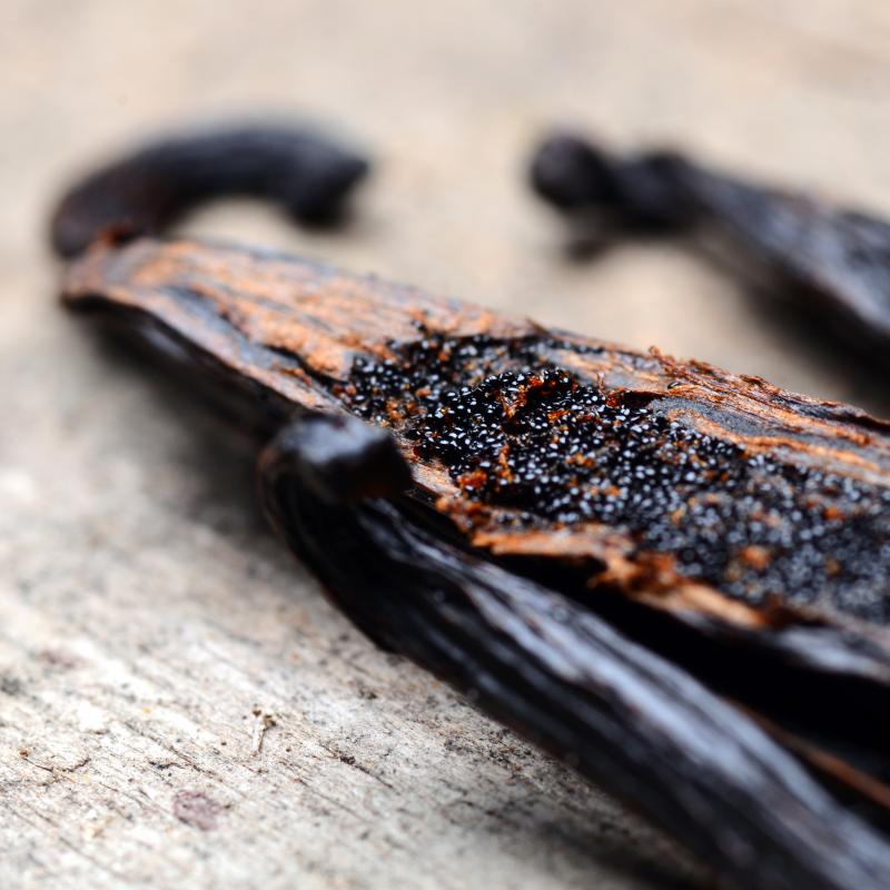 Flavoring Solutions: Vanilla | Firmenich