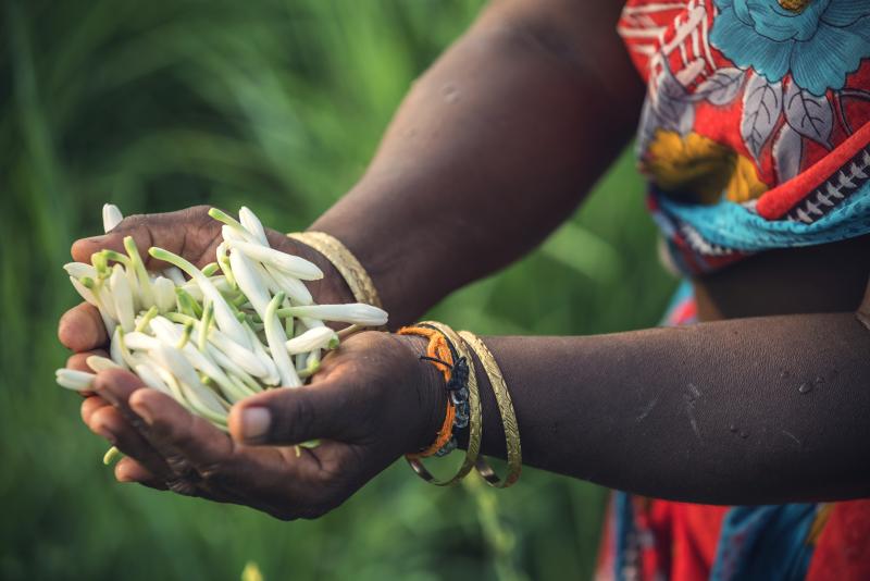 Harnessing nature responsibly