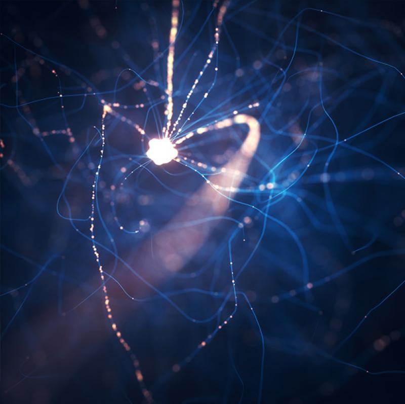 Sensory Science Core