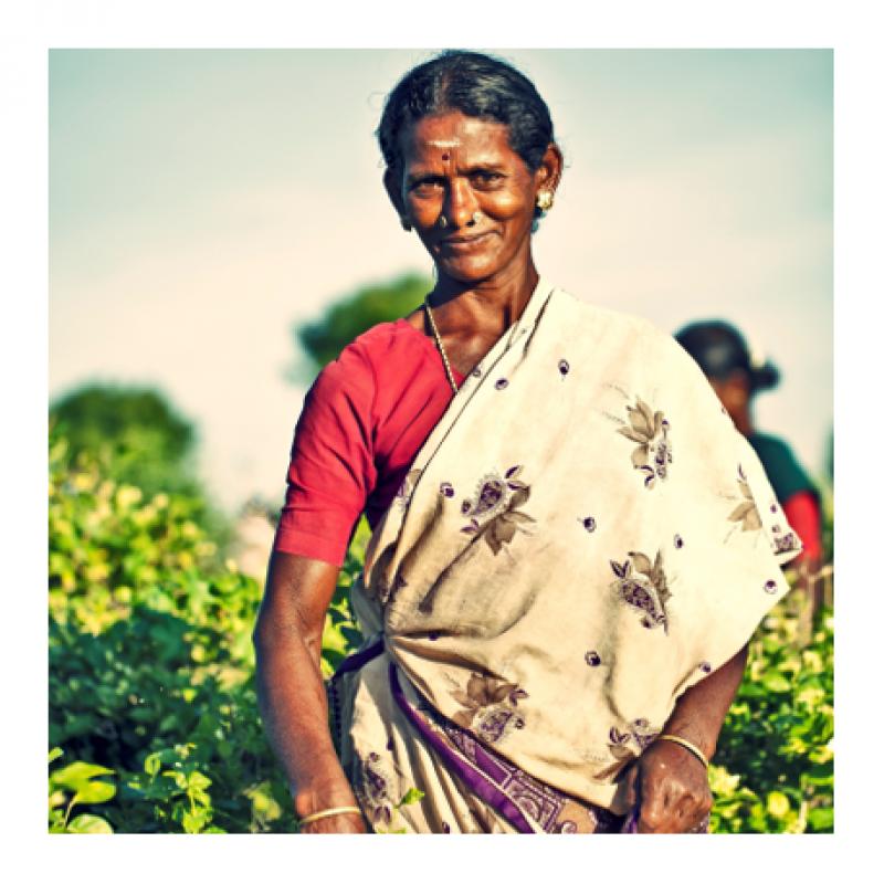 Flower gems of India