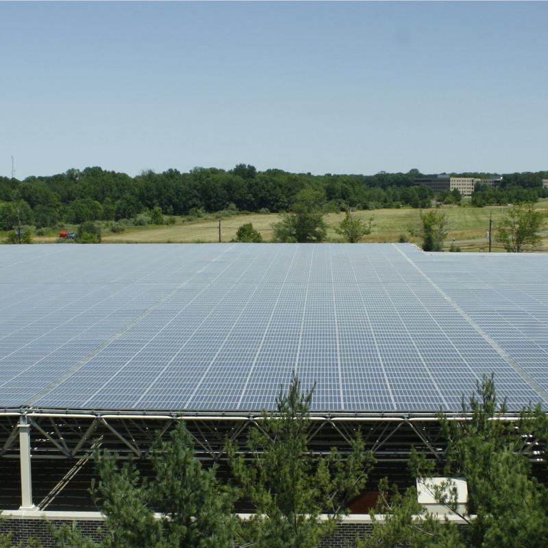 FIRMENICH ADVANCES LEADERSHIP IN RENEWABLE ENERGY