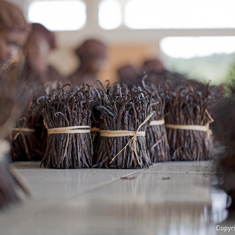 Innovative Vanilla Partnership