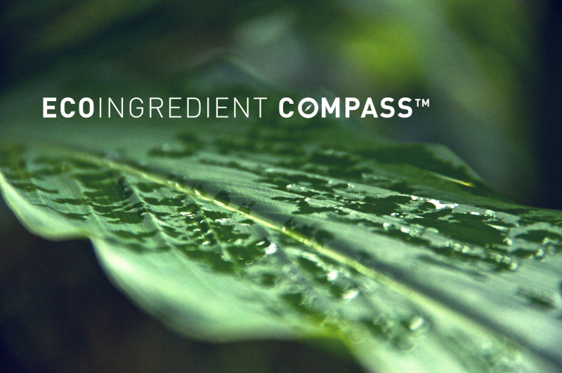 Eco Ingredient Compass