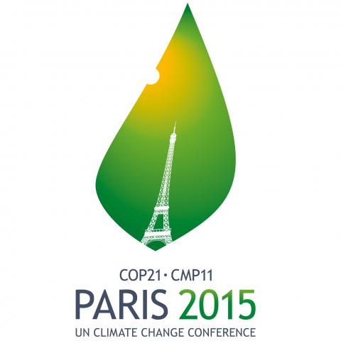 FIRMENICH TAKES ACTION TO ADDRESS CLIMATE CHANGE AT COP21