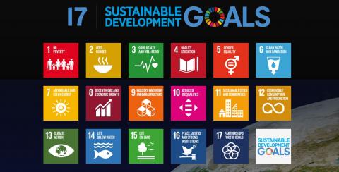 Firmenich recognized for advancing the UN SDGs, delivering sustainable growth for people, planet & society