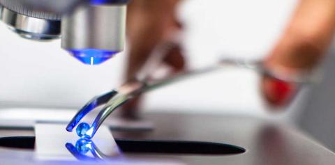 FIRMENICH APPOINTS PROFESSOR GENEVIÈVE BERGER AS CHIEF RESEARCH OFFICER