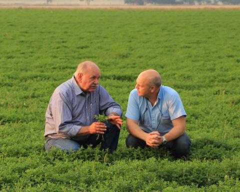 FIRMENICH ENTERS JOINT VENTURE WITH ESSEX LABORATORIES TO FURTHER EXCELLENCE IN NATURAL MINT